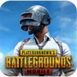 PUBG国际服中文战场对决v3.1.0 无限点券版